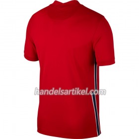 Norwegen Heim Trikotsatz 2020/21